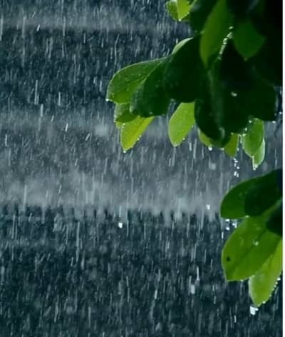 மகாராஷ்டிராவில் ஆலங்கட்டி மழை:  கண்ணீரில் விவசாயிகள்